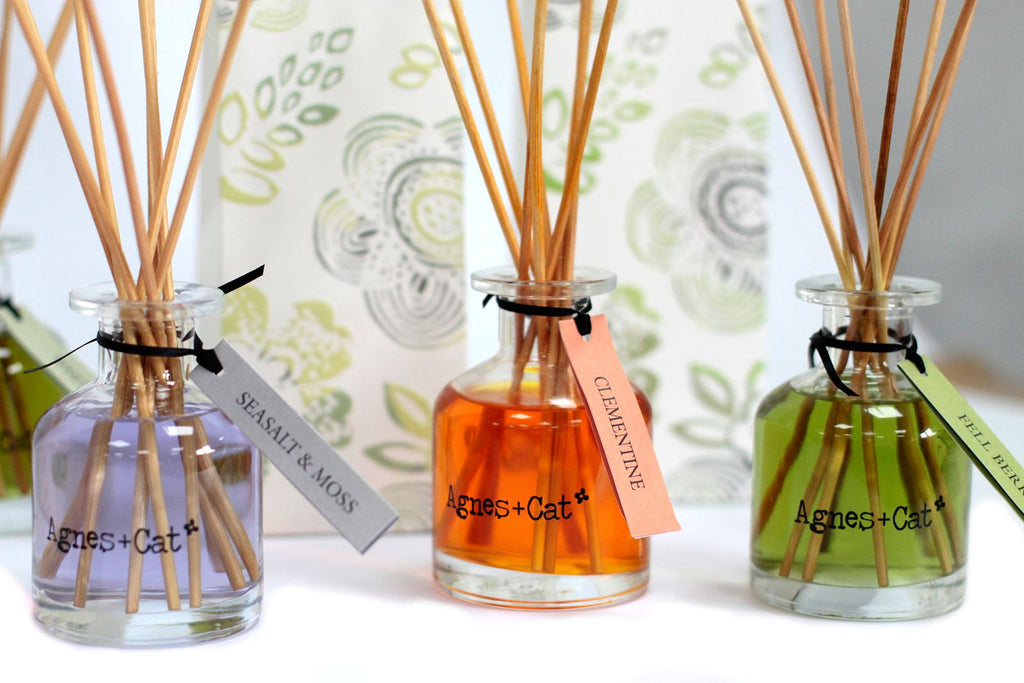 Agnes + Cat 140ml Reed Diffuser – Clementine