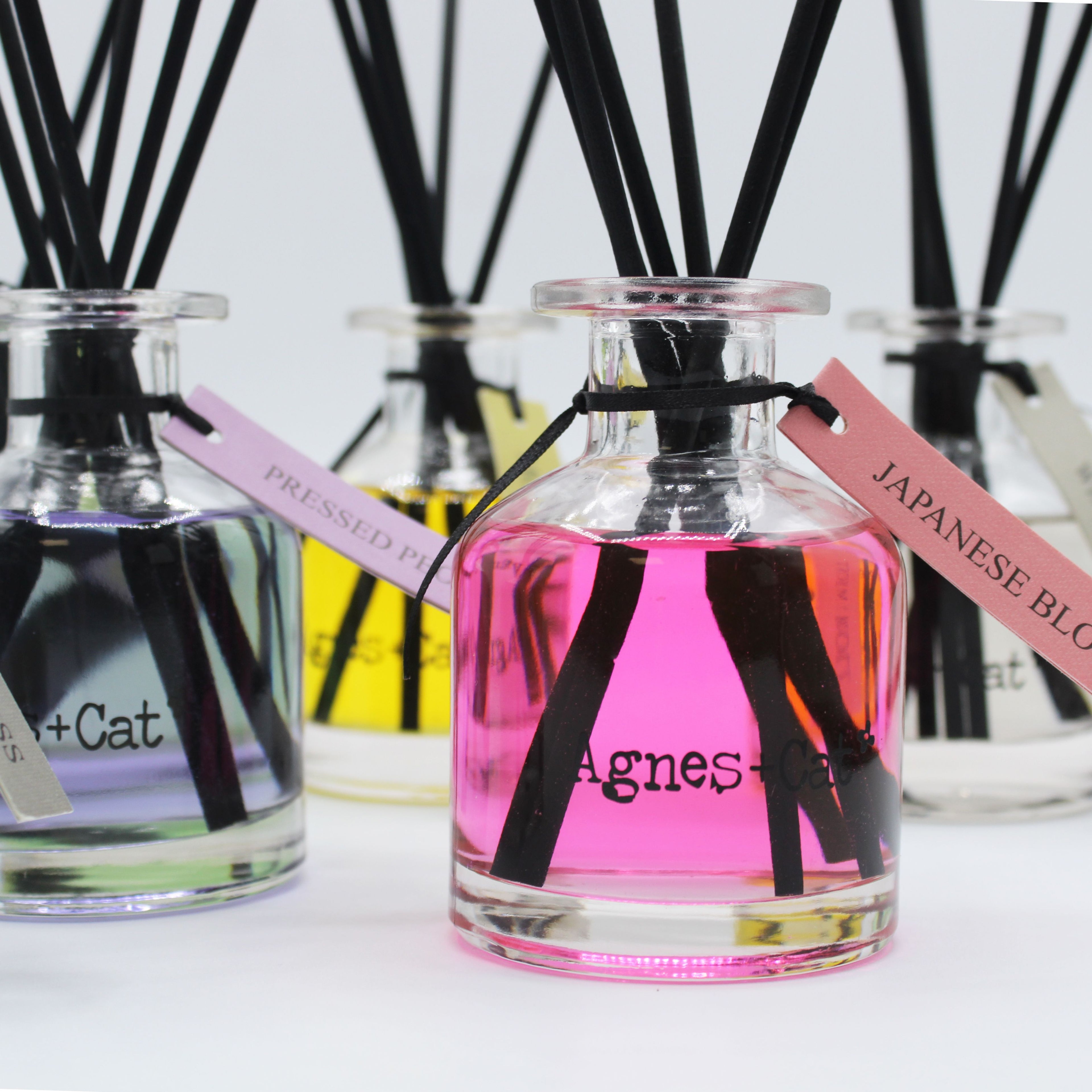 Agnes + Cat 140ml Reed Diffuser – Clementine